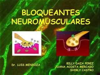BLOQUEANTES NEUROMUSCULARES BILLY DAZA PEREZ JUANA ACOSTA MERCADO SHIRLY CASTRO Dr. LUIS MENDOZA 