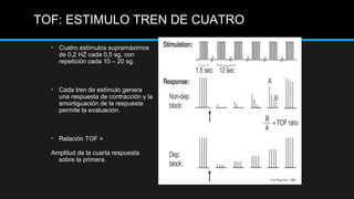 • Cuatro estímulos supramáximos
de 0,2 HZ cada 0,5 sg, con
repetición cada 10 – 20 sg.
• Cada tren de estímulo genera
una respuesta de contracción y la
amortiguación de la respuesta
permite la evaluación.
• Relación TOF =
Amplitud de la cuarta respuesta
sobre la primera.
TOF: ESTIMULO TREN DE CUATRO
 