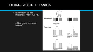 • Estimulación de alta
frecuencia: 30,50 , 100 Hz.
• ¿ Que es una respuesta
tetánica?
ESTIMULACION TETANICA
 