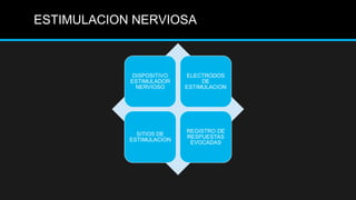 ESTIMULACION NERVIOSA
 