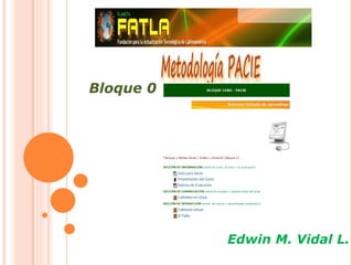 Bloque 0




           Edwin M. Vidal L.
 