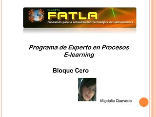 Programa de Experto en Procesos
          E-learning

       Bloque Cero



                      Migdalia Quevedo
 