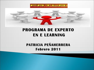 PROGRAMA DE EXPERTO EN E LEARNING PATRICIA PEÑAHERRERA Febrero 2011 