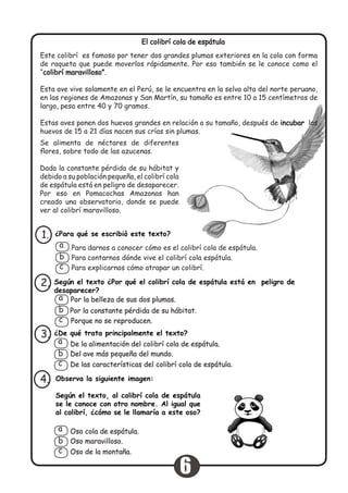 El colibrí cola de espátula
Este colibrí es famoso por tener dos grandes plumas exteriores en la cola con forma
de raqueta que puede moverlos rápidamente. Por eso también se le conoce como el
“colibrí maravilloso”.
Esta ave vive solamente en el Perú, se le encuentra en la selva alta del norte peruano,
en las regiones de Amazonas y San Martín, su tamaño es entre 10 a 15 centímetros de
largo, pesa entre 40 y 70 gramos.
Estas aves ponen dos huevos grandes en relación a su tamaño, después de incubar los
huevos de 15 a 21 días nacen sus crías sin plumas.
Se alimenta de néctares de diferentes
flores, sobre todo de las azucenas.
Dada la constante pérdida de su hábitat y
debido a su población pequeña, el colibrí cola
de espátula está en peligro de desaparecer.
Por eso en Pomacochas Amazonas han
creado una observatorio, donde se puede
ver al colibrí maravilloso.
¿Para qué se escribió este texto?1.
Para darnos a conocer cómo es el colibrí cola de espátula.
Para contarnos dónde vive el colibrí cola espátula.
Para explicarnos cómo atrapar un colibrí.
a
b
c
Según el texto ¿Por qué el colibrí cola de espátula está en peligro de
desaparecer?
2.
Por la constante pérdida de su hábitat.
Porque no se reproducen.
a
b
c
¿De qué trata principalmente el texto?3.
De la alimentación del colibrí cola de espátula.
Del ave más pequeña del mundo.
De las características del colibrí cola de espátula.
a
b
c
Observa la siguiente imagen:
Según el texto, al colibrí cola de espátula
se le conoce con otro nombre. Al igual que
al colibrí, ¿cómo se le llamaría a este oso?
Oso maravilloso.
Oso de la montaña.
4.
Oso cola de espátula.a
b
c
Por la belleza de sus dos plumas.
6
 