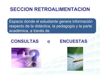 SECCION RETROALIMENTACION CONSULTAS o ENCUESTAS Espacio donde el estudiante genera información respecto de la didáctica, la pedagogía y la parte académica, a través de