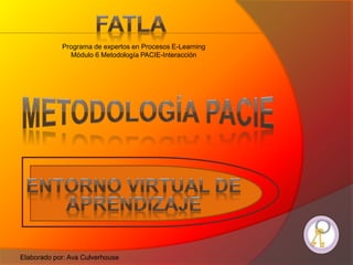 Programa de expertos en Procesos E-Learning
Módulo 6 Metodología PACIE-Interacción
Elaborado por: Ava Culverhouse
 