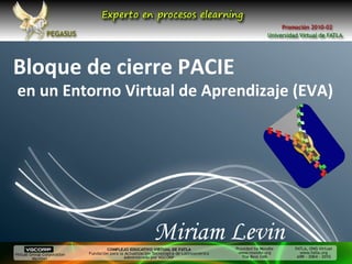 Bloque de cierre PACIE Miriam Levin en un Entorno Virtual de Aprendizaje (EVA) 