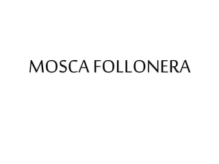 MOSCA FOLLONERA
 