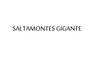 SALTAMONTES GIGANTE
 