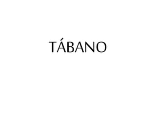 TÁBANO
 