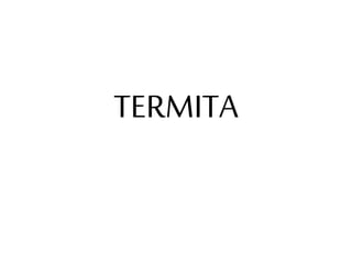 TERMITA
 