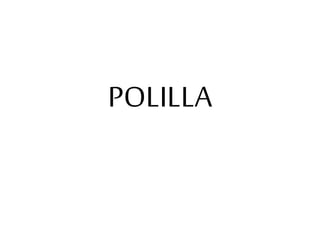 POLILLA
 