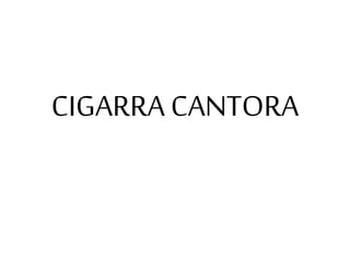 CIGARRA CANTORA
 