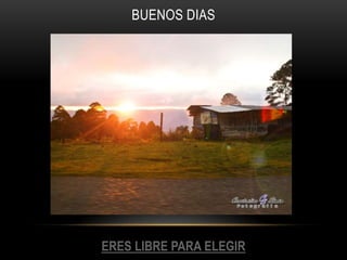 BUENOS DIAS




ERES LIBRE PARA ELEGIR
 