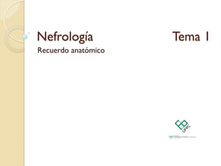 Nefrología Tema 1
Recuerdo anatómico
 
