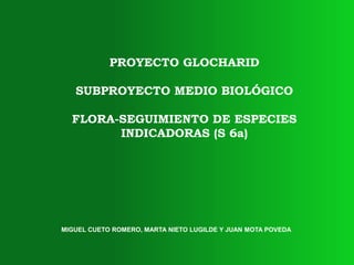 PROYECTO GLOCHARID
SUBPROYECTO MEDIO BIOLÓGICO
FLORA-SEGUIMIENTO DE ESPECIES
INDICADORAS (S 6a)
MIGUEL CUETO ROMERO, MARTA NIETO LUGILDE Y JUAN MOTA POVEDA
 
