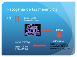 Patogenia de las meningitis
LCR Complemento
Inmunoglobulinas
Toxinas
CITOQUINAS
(factor de necrosis
tumoral alfa [TNF-a],
interleucinas [IL]1, 6,8)
EDEMA CEREBRAL
HIPERTENSION
INTRACRANEAL
 