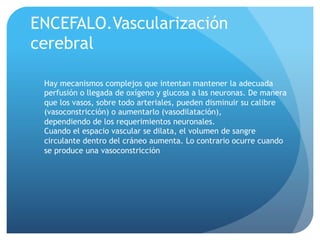 ENCEFALO.Vascularización
cerebral
Hay mecanismos complejos que intentan mantener la adecuada
perfusión o llegada de oxígeno y glucosa a las neuronas. De manera
que los vasos, sobre todo arteriales, pueden disminuir su calibre
(vasoconstricción) o aumentarlo (vasodilatación),
dependiendo de los requerimientos neuronales.
Cuando el espacio vascular se dilata, el volumen de sangre
circulante dentro del cráneo aumenta. Lo contrario ocurre cuando
se produce una vasoconstricción
 