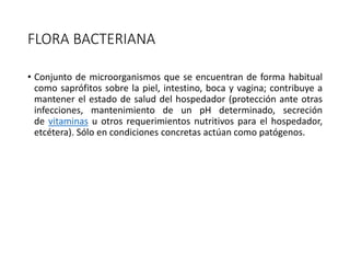 FLORA BACTERIANA
• Conjunto de microorganismos que se encuentran de forma habitual
como saprófitos sobre la piel, intestino, boca y vagina; contribuye a
mantener el estado de salud del hospedador (protección ante otras
infecciones, mantenimiento de un pH determinado, secreción
de vitaminas u otros requerimientos nutritivos para el hospedador,
etcétera). Sólo en condiciones concretas actúan como patógenos.
 