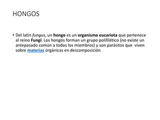 HONGOS
• Del latín fungus, un hongo es un organismo eucariota que pertenece
al reino Fungí. Los hongos forman un grupo polifilético (no existe un
antepasado común a todos los miembros) y son parásitos que viven
sobre materias orgánicas en descomposición
 