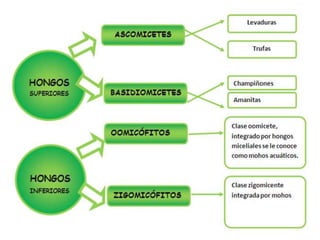 Bloque iii uess modulo1 