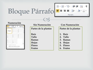 
Bloque Párrafo
Numeración
Partes de la plantas
Raíz
Tallo
Ramas
Hojas
Flores
Frutos
Partes de la plantas
1. Raíz
2. Tallo
3. Ramas
4. Hojas
5. Flores
6. Frutos
Sin Numeración Con Numeración
 