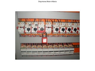 Disjuntores Motor trifásico
 
