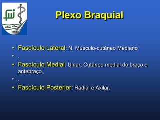 Plexo Braquial


• Fascículo Lateral: N. Músculo-cutâneo Mediano
• .
• Fascículo Medial: Ulnar, Cutâneo medial do braço e
  antebraço
• .
• Fascículo Posterior: Radial e Axilar.
 