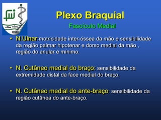 Plexo Braquial
                       Fascículo Medial

• N.Ulnar:motricidade inter-óssea da mão e sensibilidade
  da região palmar hipotenar e dorso medial da mão ,
  região do anular e mínimo.


• N. Cutâneo medial do braço: sensibilidade da
  extremidade distal da face medial do braço.


• N. Cutâneo medial do ante-braço: sensibilidade da
  região cutânea do ante-braço.
 