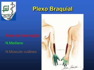 Plexo Braquial



Área de Inervação
N.Mediano

N.Músculo cutâneo
 