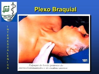 Plexo Braquial

I
N
T
E
R
E
S
C
A
L
E
N
I
C
A
 