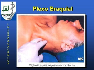 Plexo Braquial

I
N
T
E
R
E
S
C
A
L
E
N
I
C
A
 
