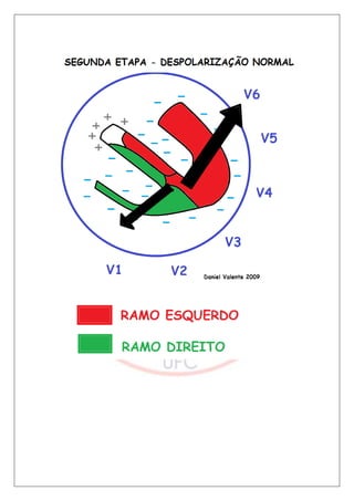 Bloqueios de ramo final