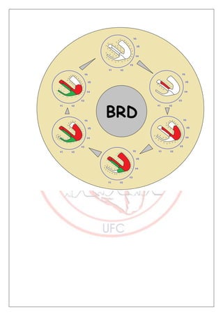 Bloqueios de ramo final