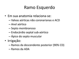 Ramo Esquerdo
• Em sua anatomia relaciona-se:
  – Valvas aórticas não coronarianas e ACD
  – Anel aórtico
  – Septo membranoso
  – Endocárdio septal sub-aórtico
  – Ápice do septo muscular
• Irrigação:
  – Ramos da descendente posterior (90% CD)
  – Ramos da ADA
 