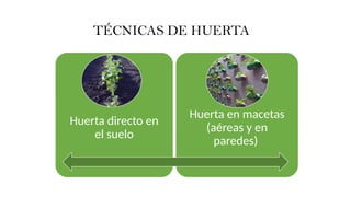 TÉCNICAS DE HUERTA
Huerta directo en
el suelo
Huerta en macetas
(aéreas y en
paredes)
 