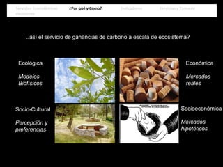 3.- Evaluación de Servicios
..así el servicio de ganancias de carbono a escala de ecosistema?
Ecológica
Modelos
Biofísicos
Socio-Cultural
Percepción y
preferencias
Económica
Mercados
reales
Socioeconómica
Mercados
hipotéticos
Servicios Ecosistémicos ¿Por qué y Cómo? Indicadores Servicios y Toma de
decisiones
Servicios Ecosistémicos ¿Por qué y Cómo? Indicadores Servicios y Toma de
decisiones
 