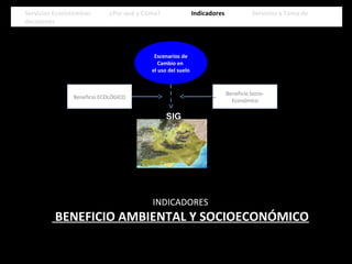 Escenarios de
Cambio en
el uso del suelo
Beneficio ECOLÓGICOBeneficio ECOLÓGICO Beneficio Socio-
Económico
Beneficio Socio-
Económico
SIG
Servicios Ecosistémicos ¿Por qué y Cómo? Indicadores Servicios y Toma de
decisiones
Servicios Ecosistémicos ¿Por qué y Cómo? Indicadores Servicios y Toma de
decisiones
INDICADORES
BENEFICIO AMBIENTAL Y SOCIOECONÓMICO
 
