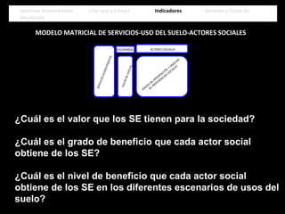 Servicios Ecosistémicos ¿Por qué y Cómo? Indicadores Servicos y Toma de
decisiones
Servicios Ecosistémicos ¿Por qué y Cómo? Indicadores Servicos y Toma de
decisiones
MODELO MATRICIAL DE SERVICIOS-USO DEL SUELO-ACTORES SOCIALES
SERVICIOSECOSISTÉMICOS
ESCENARIOS
USO DEL SUELO
VALORDEEFECTO
ACTORES SOCIALES
GRADO
DE APROPIACIÓN
Y ANÁLISIS
DE PREFERENCIAS SOCIALES
¿Cuál es el valor que los SE tienen para la sociedad?
¿Cuál es el grado de beneficio que cada actor social
obtiene de los SE?
¿Cuál es el nivel de beneficio que cada actor social
obtiene de los SE en los diferentes escenarios de usos del
suelo?
 