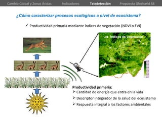  Productividad primaria mediante índices de vegetación (NDVI o EVI)
¿Cómo caracterizar procesos ecológicos a nivel de ecosistema?
Cambio Global y Zonas Áridas Indicadores Teledetección Propuesta Glocharid S8
Índices de vegetación
Productividad primaria:
 Cantidad de energía que entra en la vida
 Descriptor integrador de la salud del ecosistema
 Respuesta integral a los factores ambientales
 
