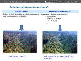 Ecología regional Ecología aplicada y gestión
Todo el territorio de un bioma, paisaje o ecosistema
para obtener patrones regionales.
Parcela de muestreo para diferentes:
– Ecosistemas.
– Prácticas de gestión.
– Usos del suelo.
– ...
¿Qué representa el píxel de una imagen?
CARTOGRAFÍAS TEMÁTICAS EVALUACIÓN DE ECOSISTEMAS, SITUACIONES E
IMPACTOS
Cambio Global y Zonas Áridas Indicadores Teledetección Propuesta Glocharid S8
 