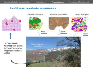Robledal
Pinar
Matorral de alta
montaña
Identificación de unidades ecosistémicas
Pisos bioclimáticos Mapa de vegetación Mapa litológico
Tipos de
vegetación Tipo de
sustrato
Rango
altitudinal
Las “parcelas de
muestreo” son píxeles
de 230 x 230 m de las
imágenes del satélite
MODIS.
Cambio Global y Zonas Áridas Indicadores Teledetección Propuesta Glocharid S8
 