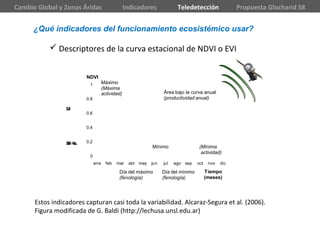 ¿Qué indicadores del funcionamiento ecosistémico usar?
 Descriptores de la curva estacional de NDVI o EVI
Estos indicadores capturan casi toda la variabilidad. Alcaraz-Segura et al. (2006).
Figura modificada de G. Baldi (http://lechusa.unsl.edu.ar)
Cambio Global y Zonas Áridas Indicadores Teledetección Propuesta Glocharid S8
0
0.2
0.4
0.6
0.8
1
ene feb mar abr may jun jul ago sep oct nov dic
RangoRelativooCV
(estacionalidad)
Día del mínimo
(fenología)
NDVI
Tiempo
(meses)
Día del máximo
(fenología)
Área bajo la curva anual
(productividad anual)
Máximo
(Máxima
actividad)
Mínimo (Mínima
actividad)
 