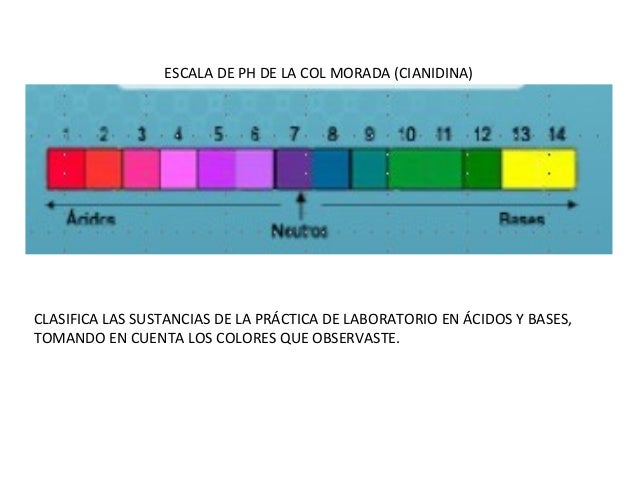 Bloque iv aprendizaje 1