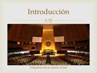 
Introducción
Embajador/a ante las Naciones Unidas
 