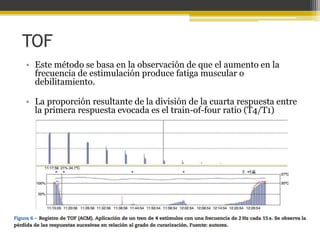 TOF 
• Este método se basa en la observación de que el aumento en la 
frecuencia de estimulación produce fatiga muscular o 
debilitamiento. 
• La proporción resultante de la división de la cuarta respuesta entre 
la primera respuesta evocada es el train-of-four ratio (T4/T1) 
 