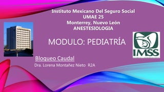 Dra. Lorena Montañez Nieto R2A
MODULO: PEDIATRÍA
Instituto Mexicano Del Seguro Social
UMAE 25
Monterrey, Nuevo León
ANESTESIOLOGIA
Bloqueo Caudal
 