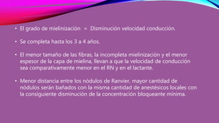 • El grado de mielinización = Disminución velocidad conducción.
• Se completa hasta los 3 a 4 años.
• El menor tamaño de las fibras, la incompleta mielinización y el menor
espesor de la capa de mielina, llevan a que la velocidad de conducción
sea comparativamente menor en el RN y en el lactante.
• Menor distancia entre los nódulos de Ranvier, mayor cantidad de
nódulos serán bañados con la misma cantidad de anestésicos locales con
la consiguiente disminución de la concentración bloqueante mínima.
 