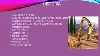 • Brainbridge en 1901
• Gray en 1909 utilizaron la Cocaína y Estovaína para
anestesia espinal en lactantes y niños.
• Campbell en 1933 reportó la primera serie de
anestesia caudal
• Sievers (1936),
• Ruston (1957),
• Spiegel (1962)
• Fortuna (1967)
• Melman (1973)
• Manglano (1985)
HISTORIA
 