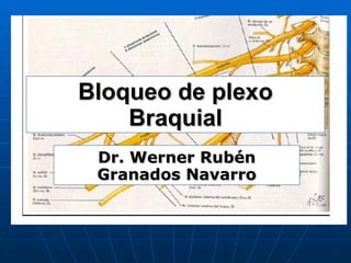 Bloqueo de plexo Braquial Dr. Werner Rubén Granados Navarro 